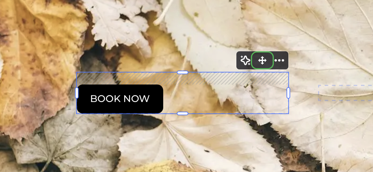 Альтернативный текст